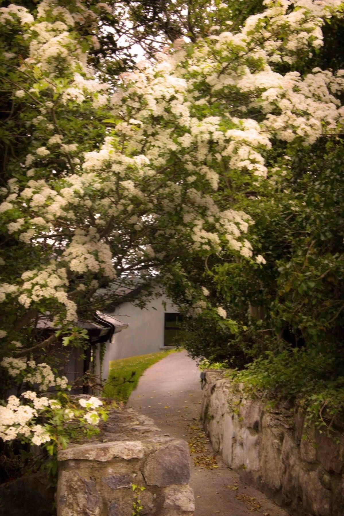 The Waters Country House Ballyvaughan Εξωτερικό φωτογραφία